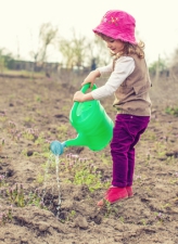 Retour de vacances : Remettre de l'ordre au jardin